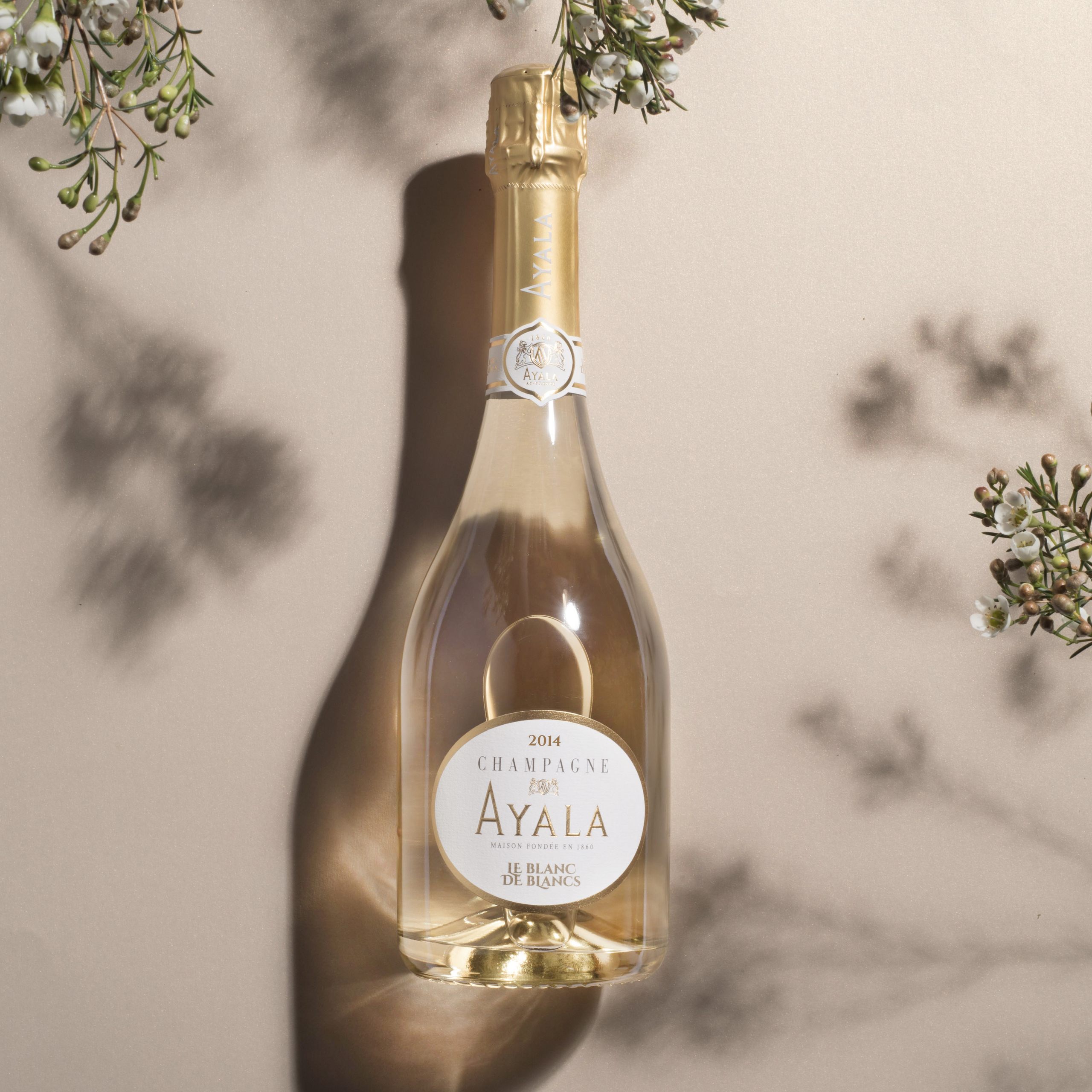Le Blanc de Blancs - Champagne Ayala