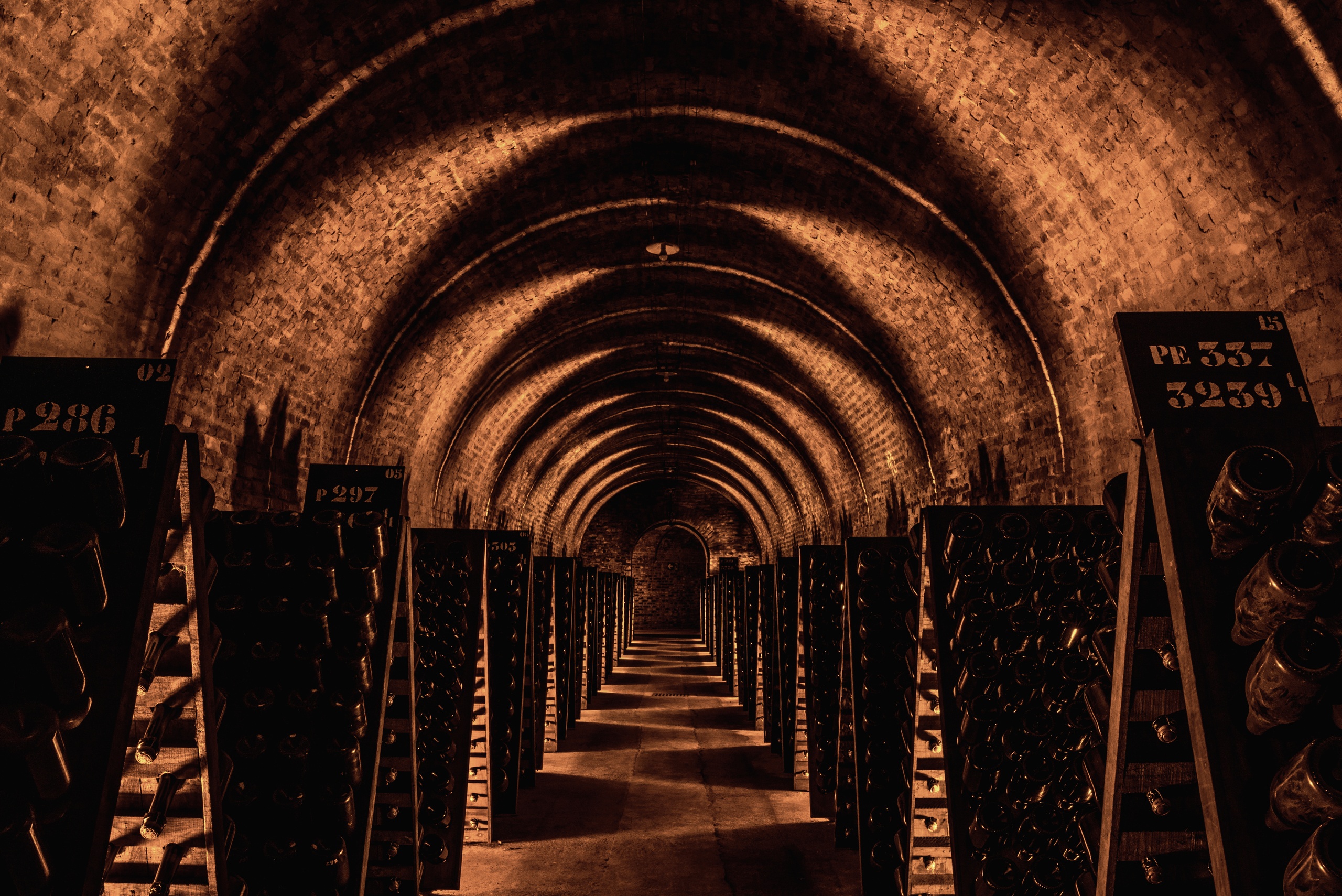 visite cave de champagne