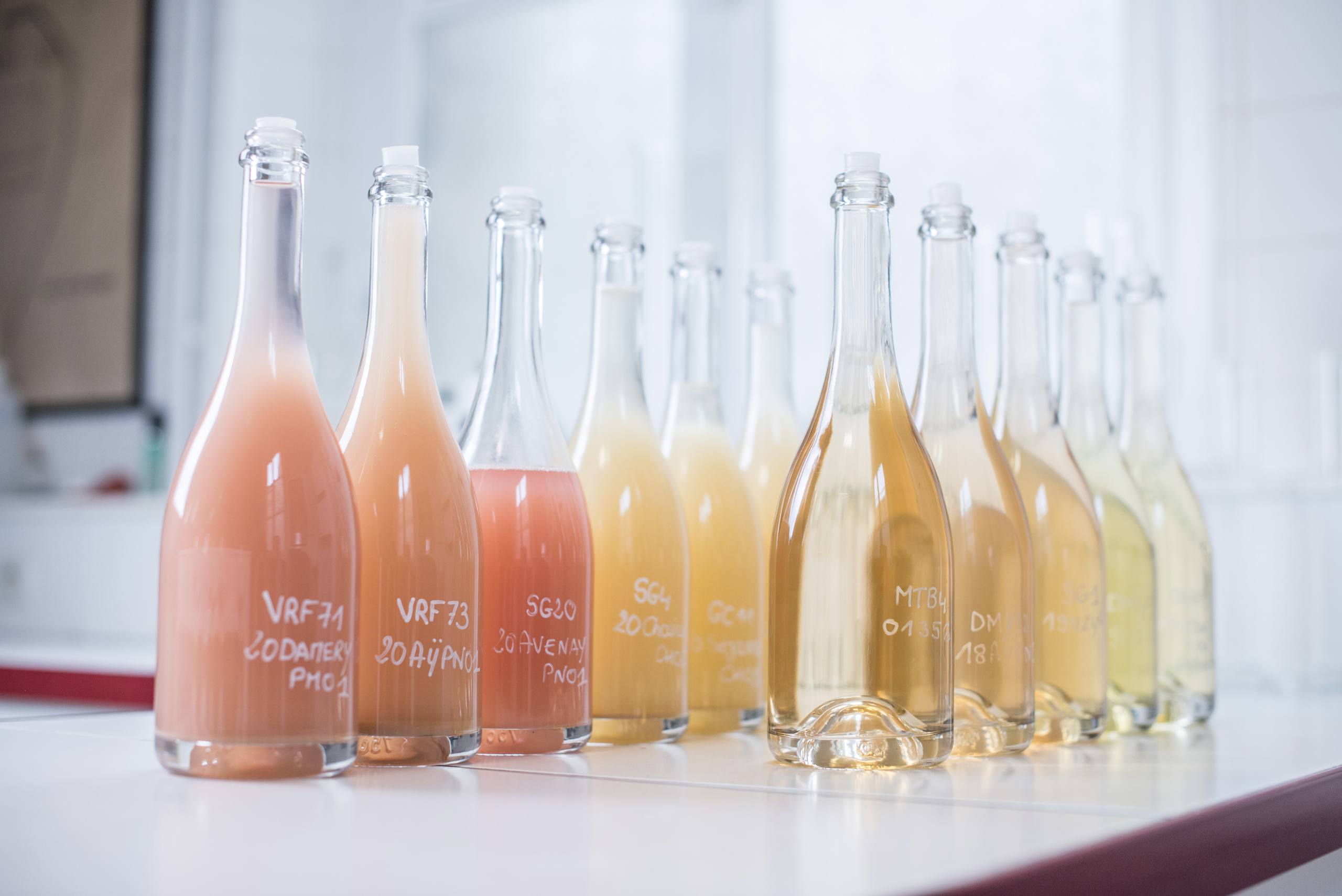 Notre Savoir-Faire - Champagne Ayala