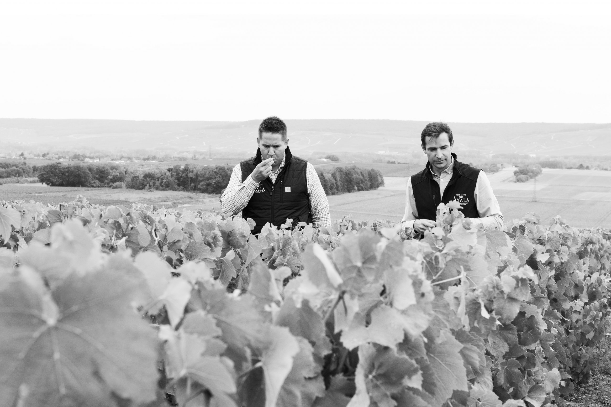 L’Humain au cœur de la Maison - Champagne Ayala