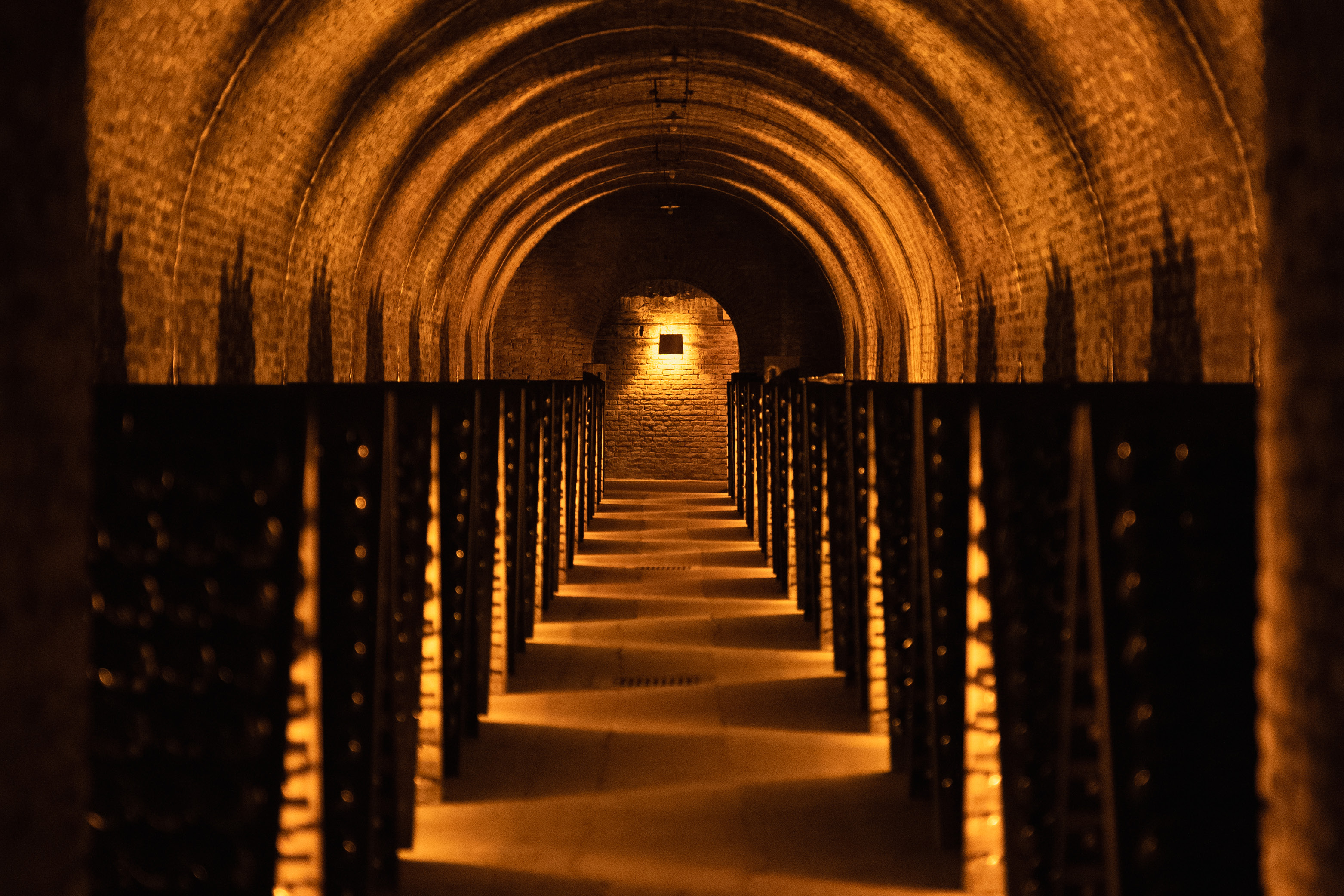 L&rsquo;expérience AYALA - Champagne Ayala