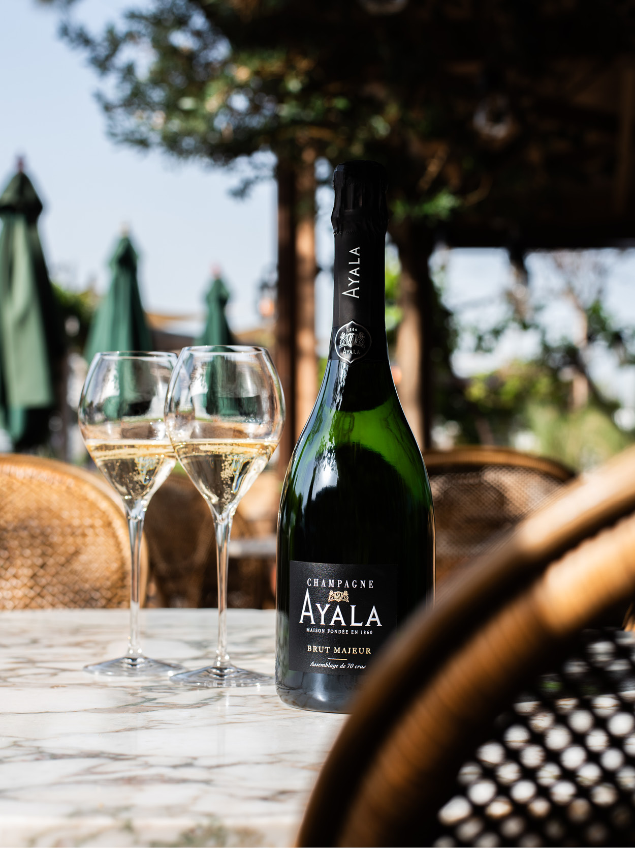Brut Majeur - Champagne Ayala