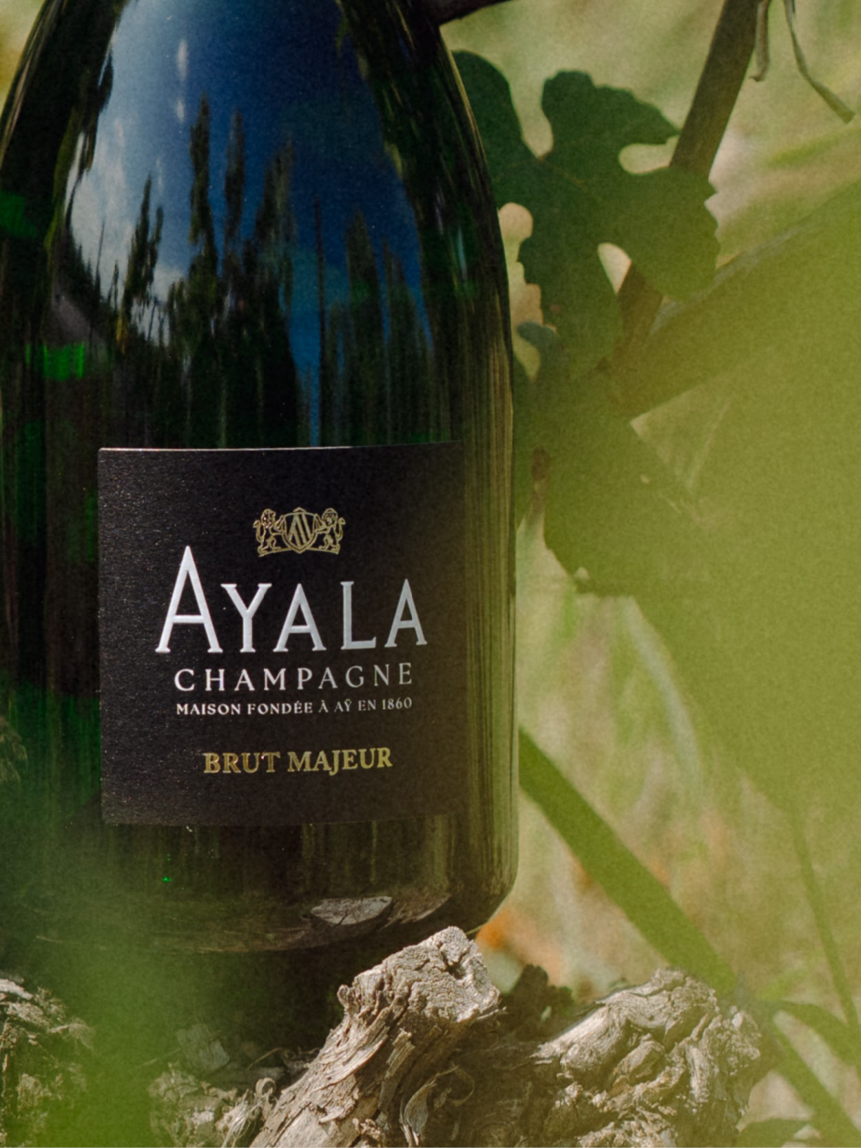 Brut Majeur - Champagne Ayala