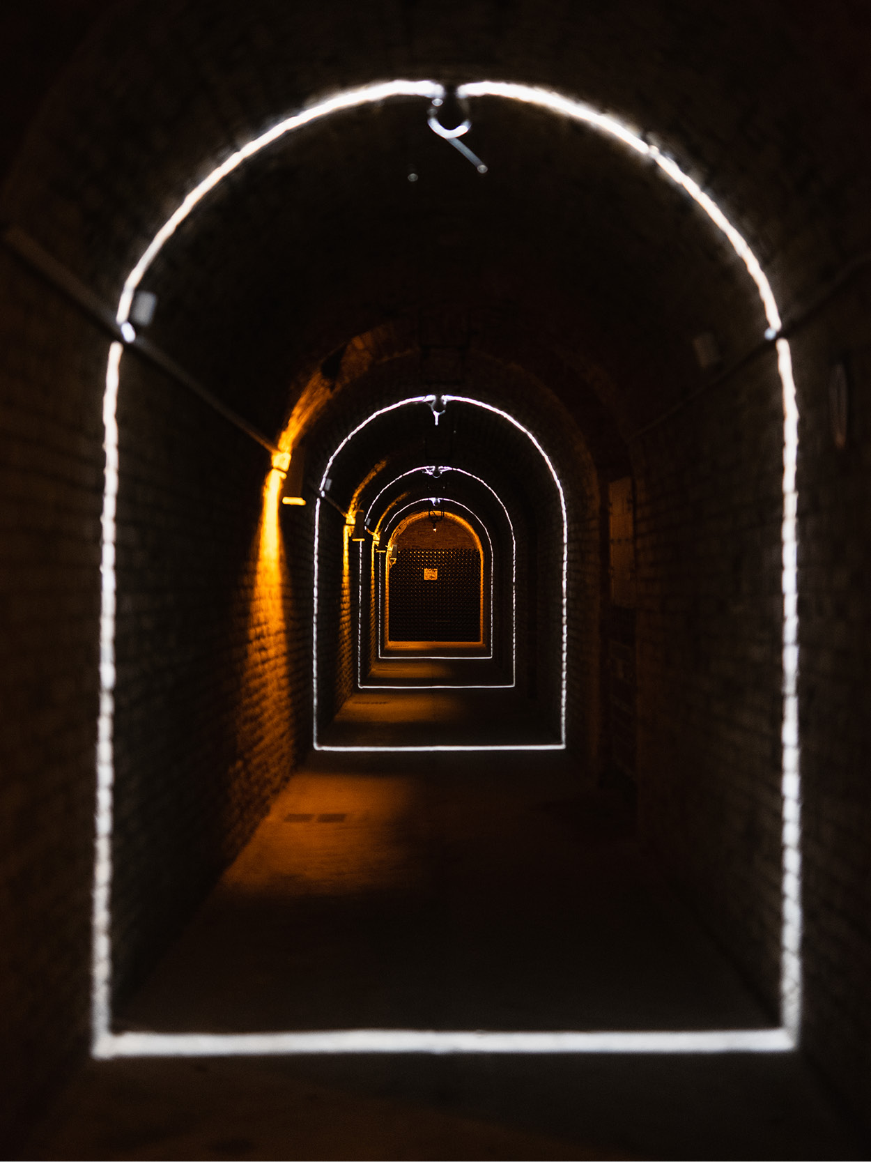 L&rsquo;expérience AYALA - Champagne Ayala