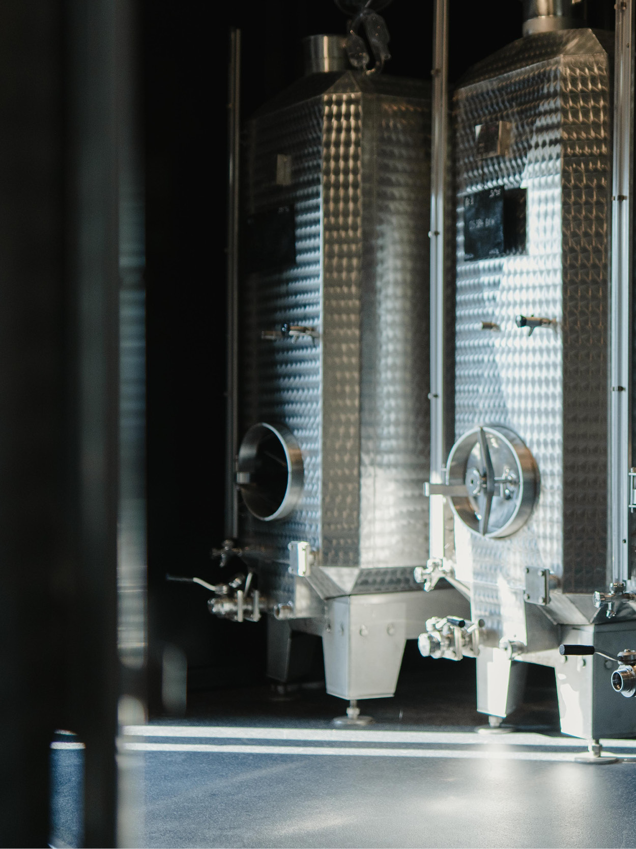 L&rsquo;expérience AYALA - Champagne Ayala