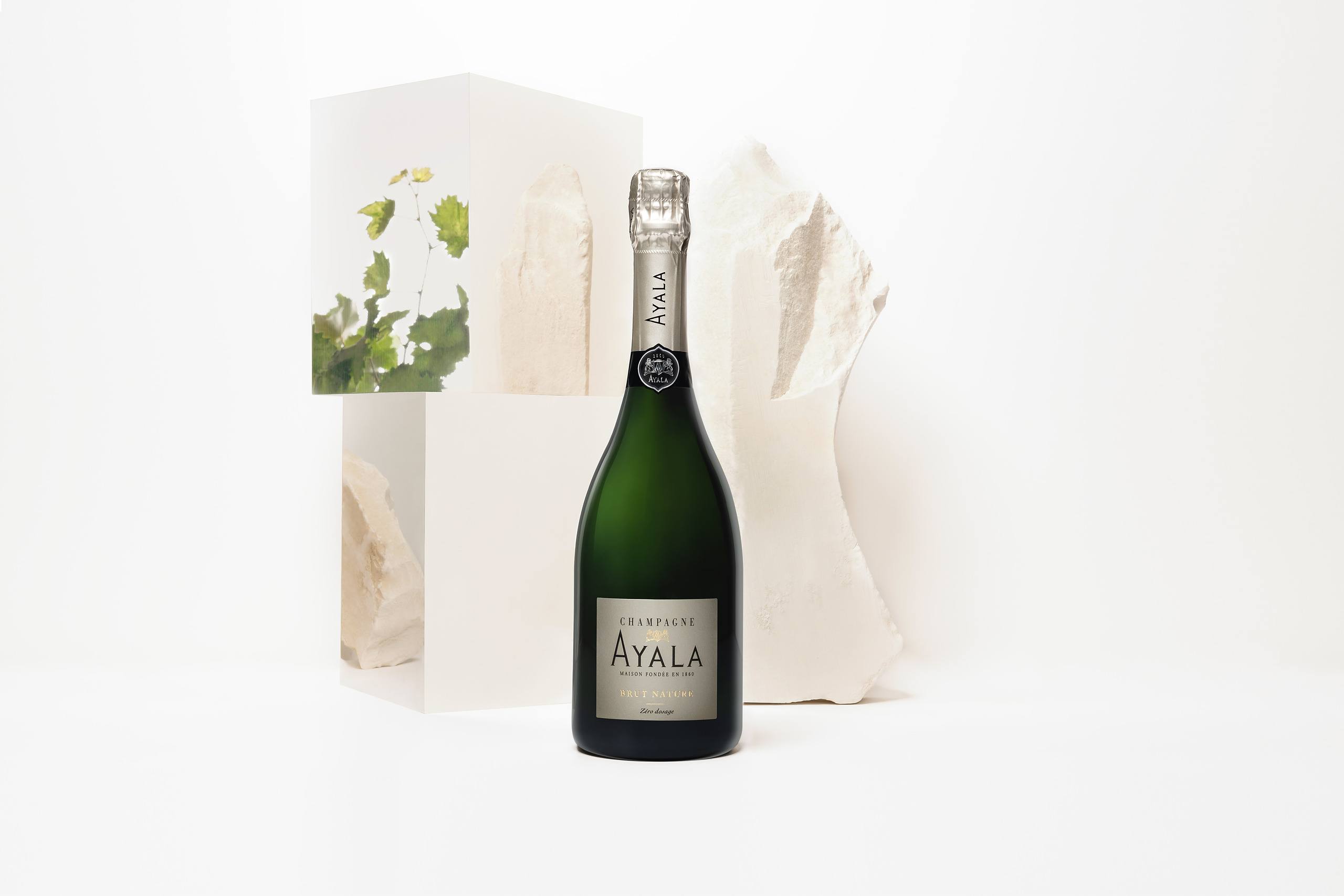 Brut Nature - Champagne Ayala