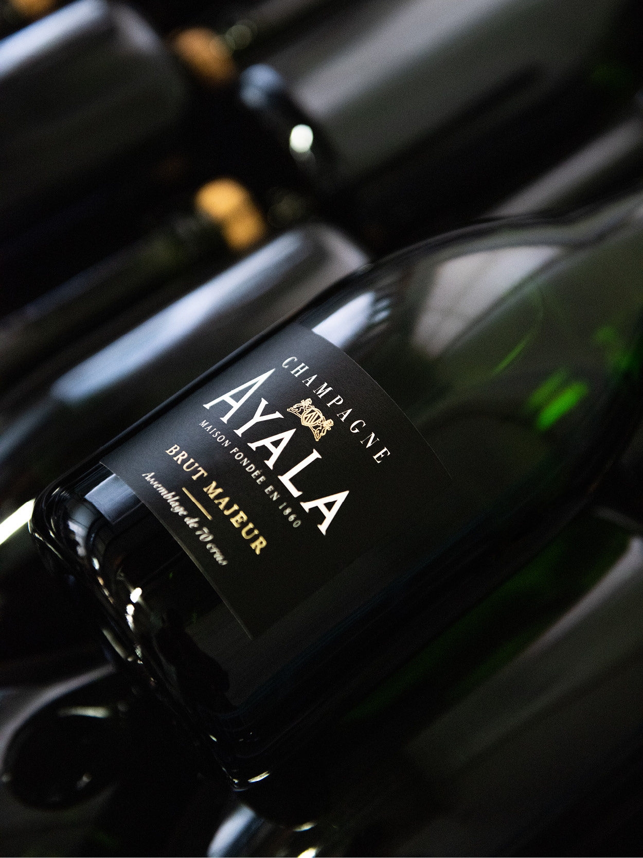 L’expérience AYALA - Champagne Ayala