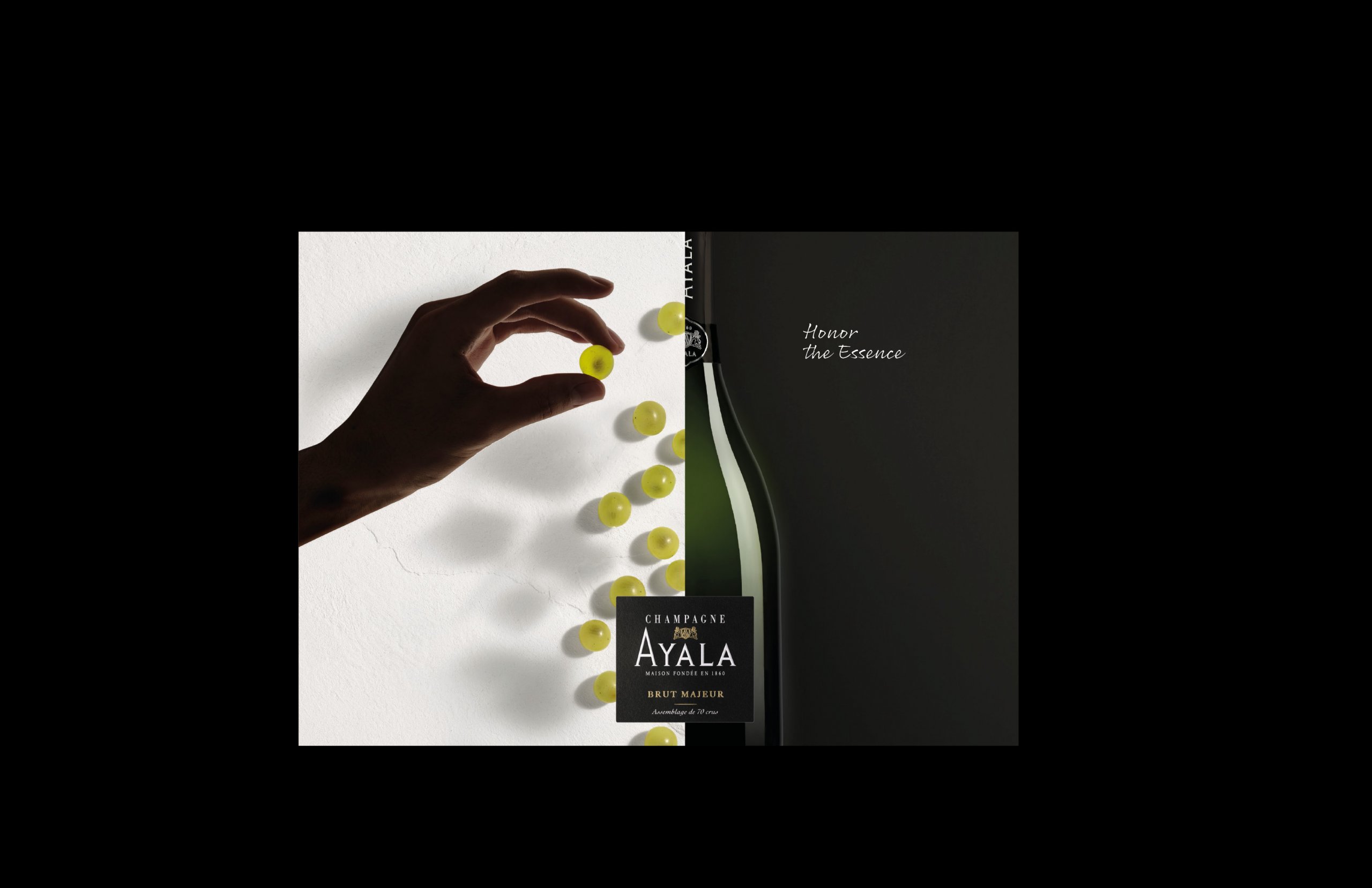Home ENG - Champagne Ayala