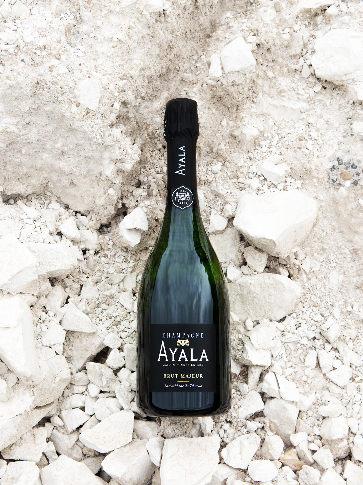 La persona al centro della Maison - Champagne Ayala