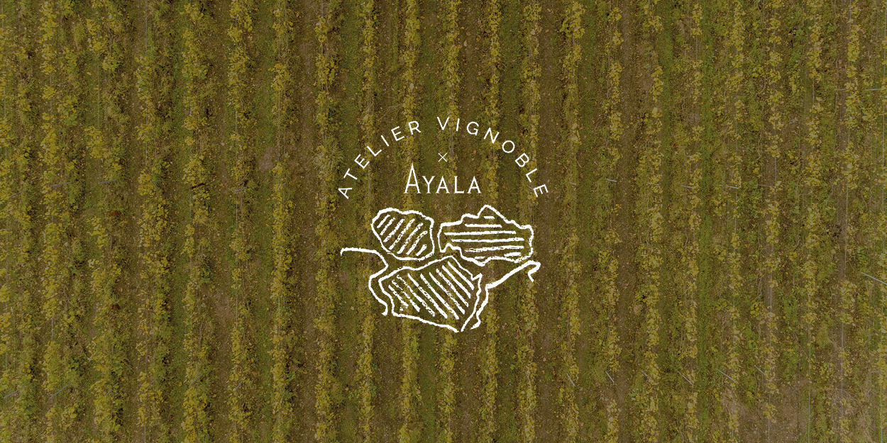 Launching Atelier Vignoble - Champagne Ayala