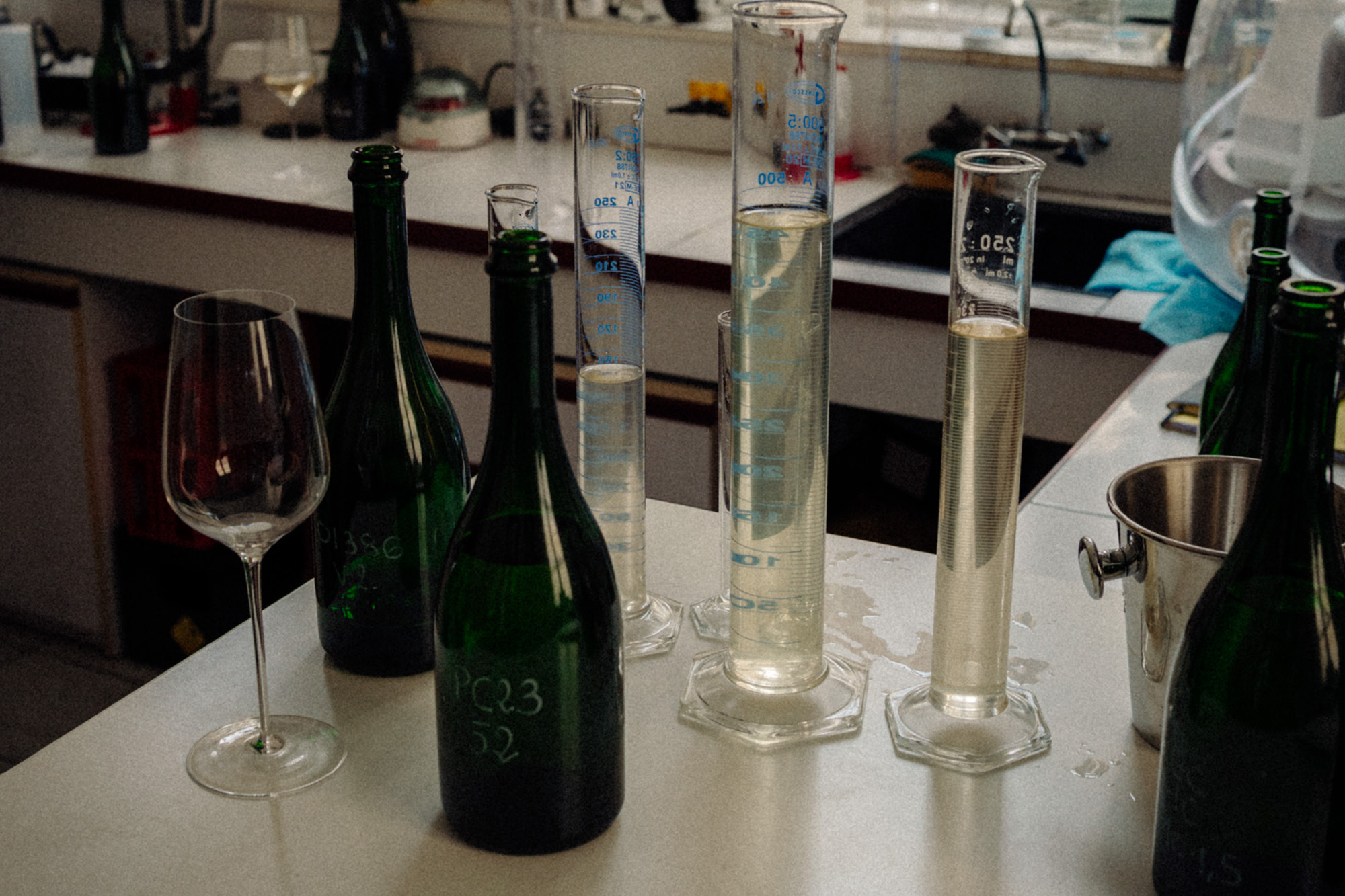 Vins Clairs & Blends - Champagne Ayala