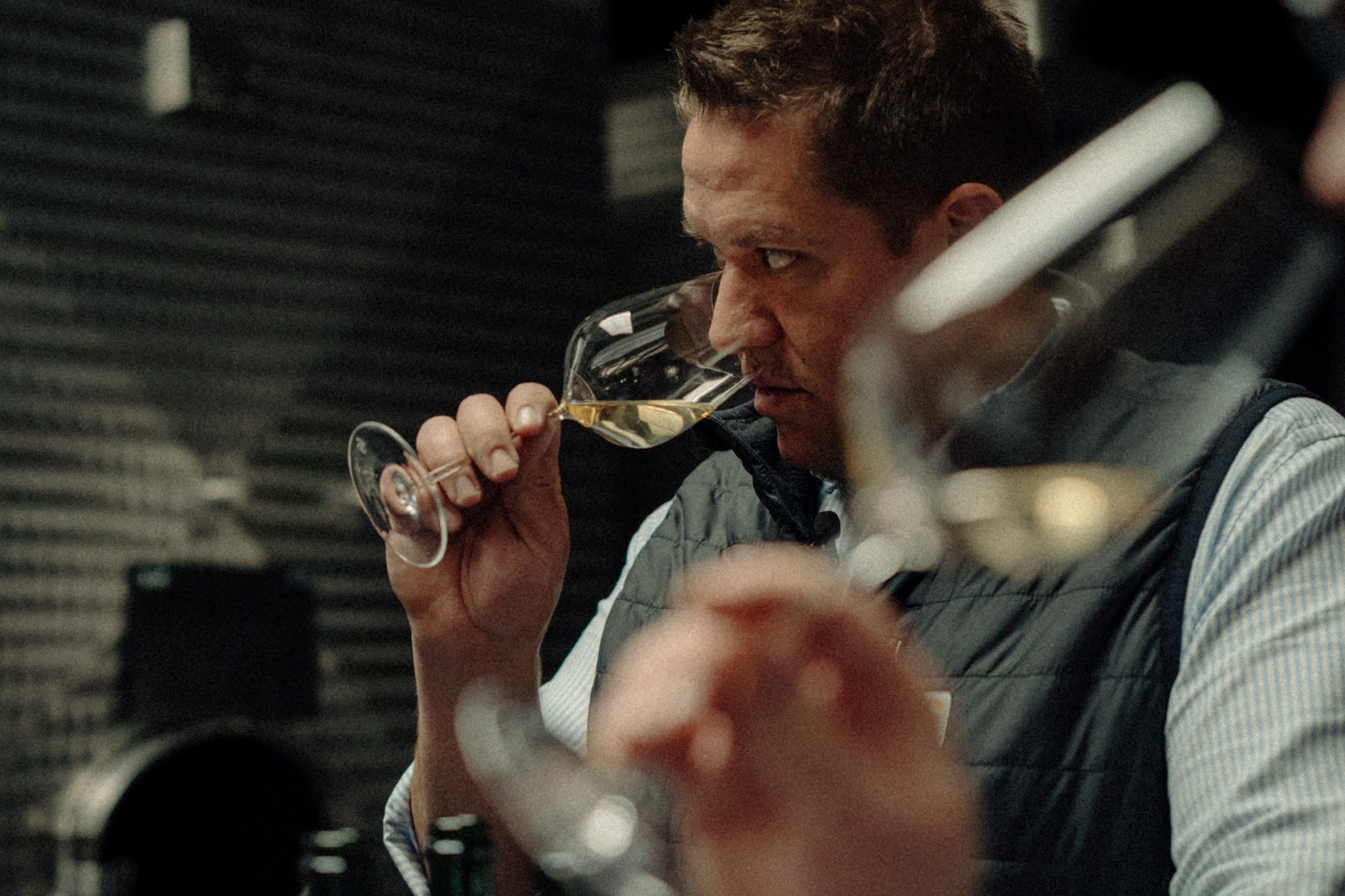 Vins Clairs & Blends - Champagne Ayala