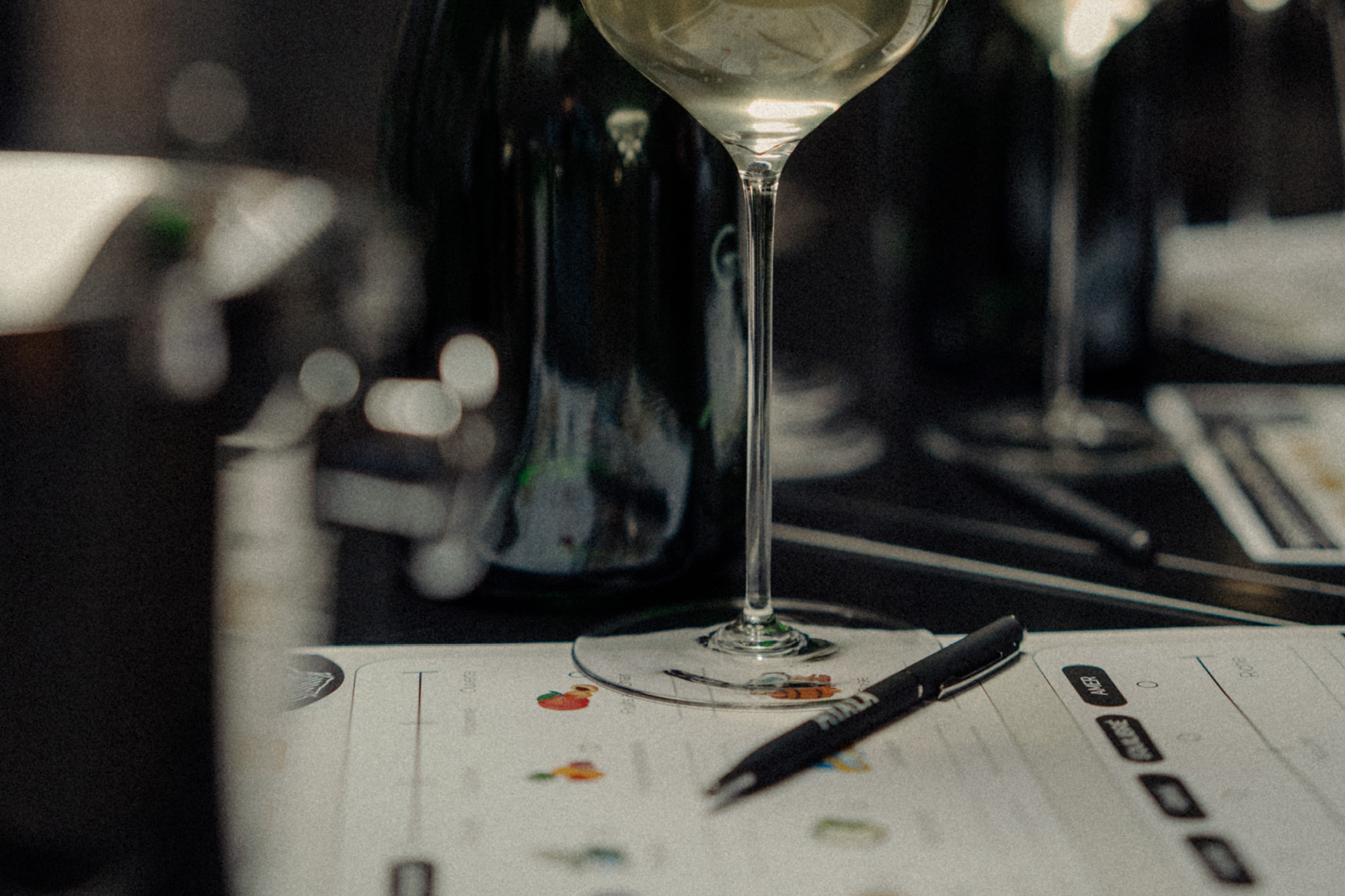 Vins Clairs & Blends - Champagne Ayala