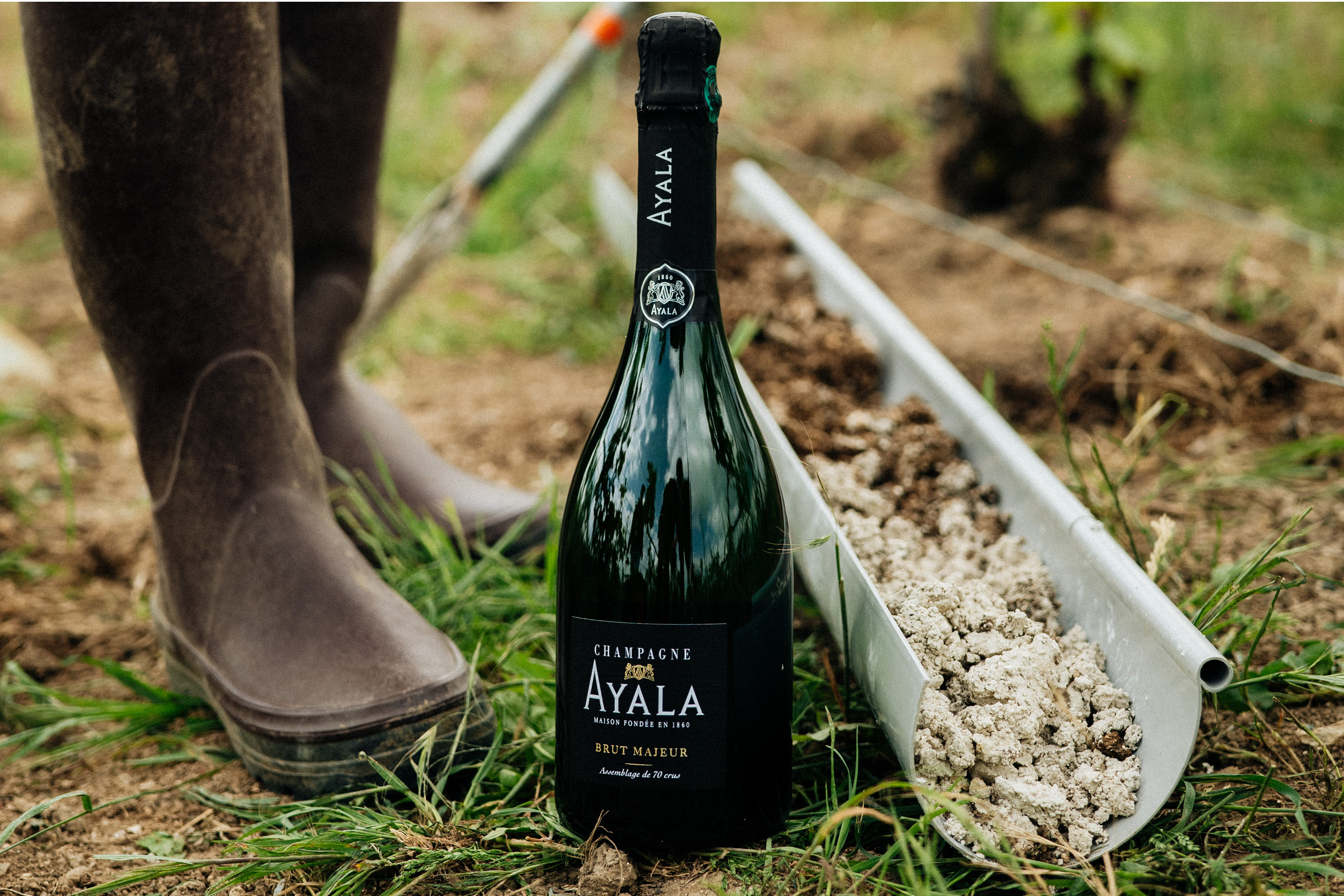 L’ESPRESSIONE PIÙ PURA DELLO CHARDONNAY - Champagne Ayala