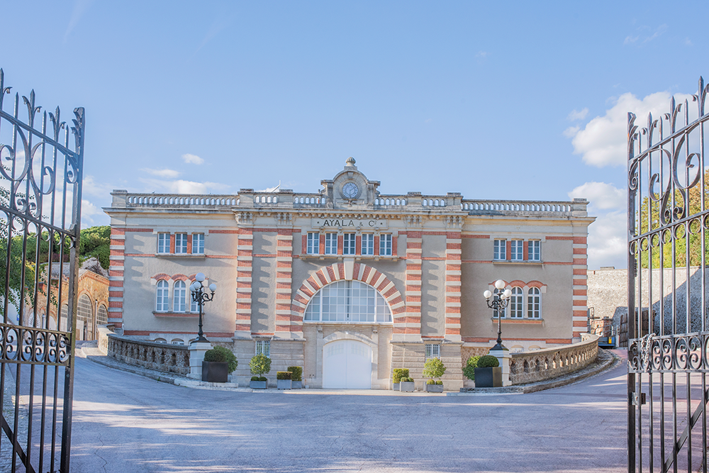 Champagne AYALA marks a new milestone in its decarbonisation - Champagne Ayala