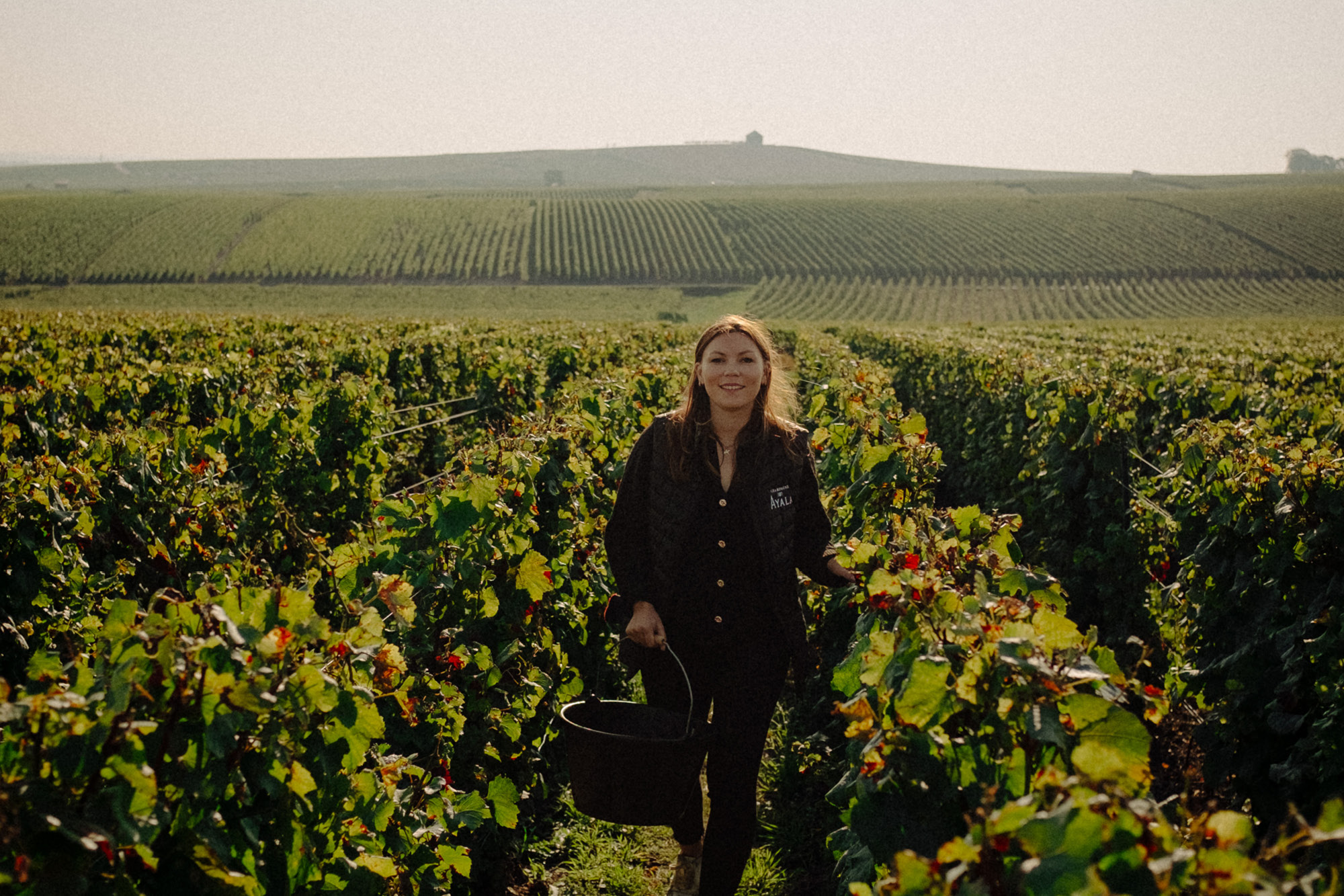 Carnet de vendange 2025 - Champagne Ayala