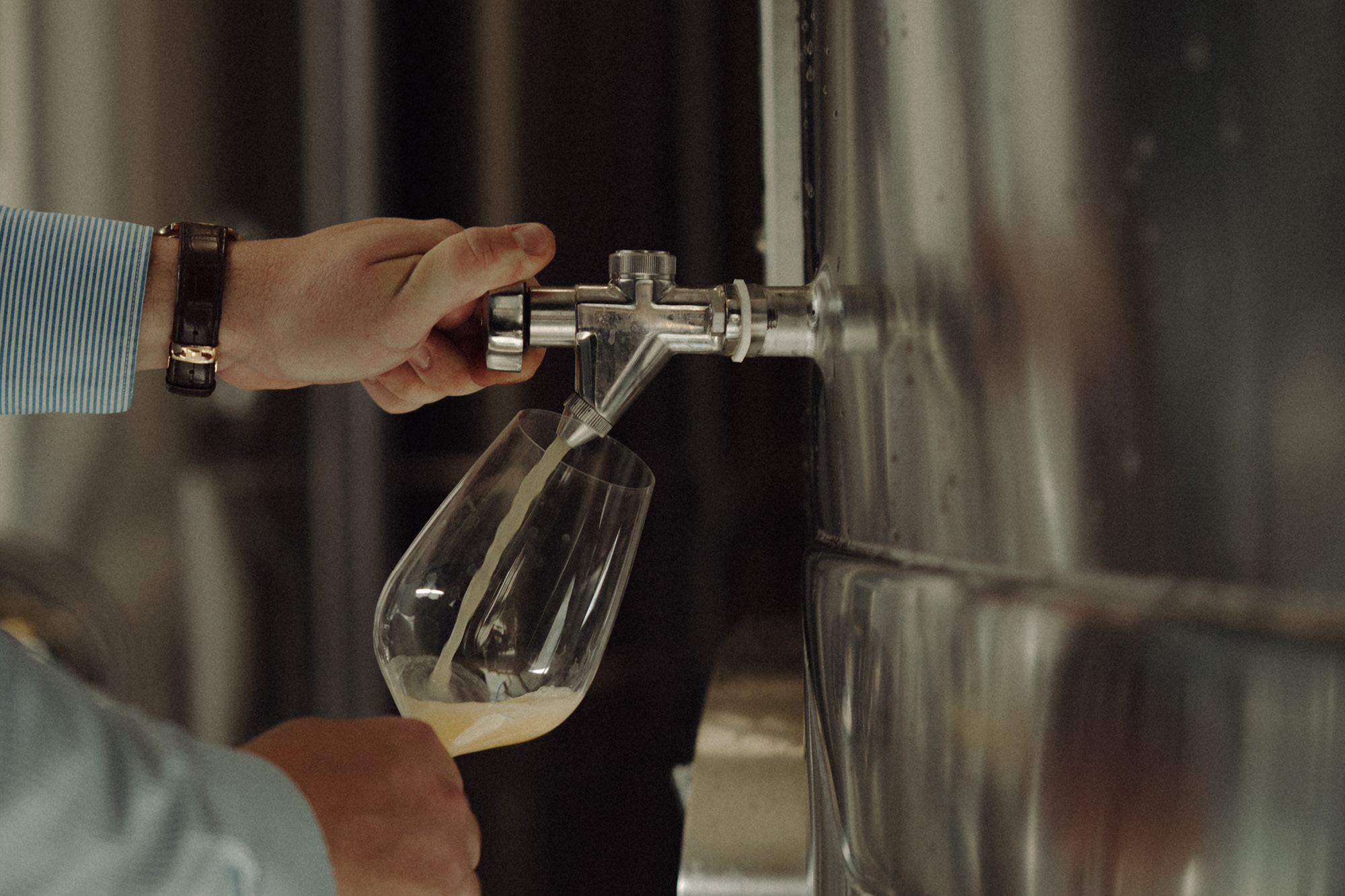 Carnet de vendange 2025 - Champagne Ayala