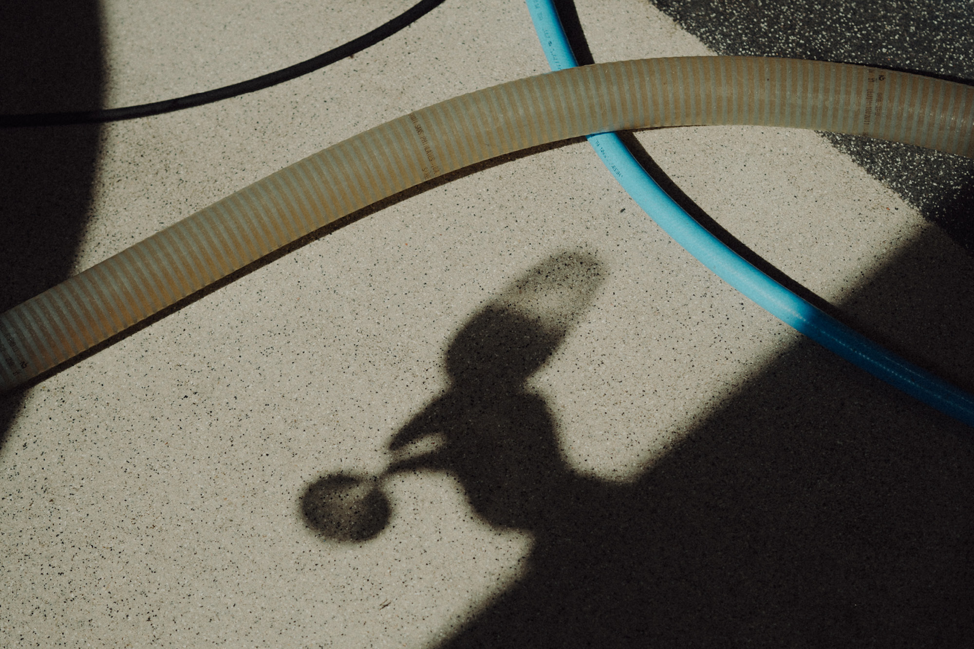 Carnet de vendange 2025 - Champagne Ayala