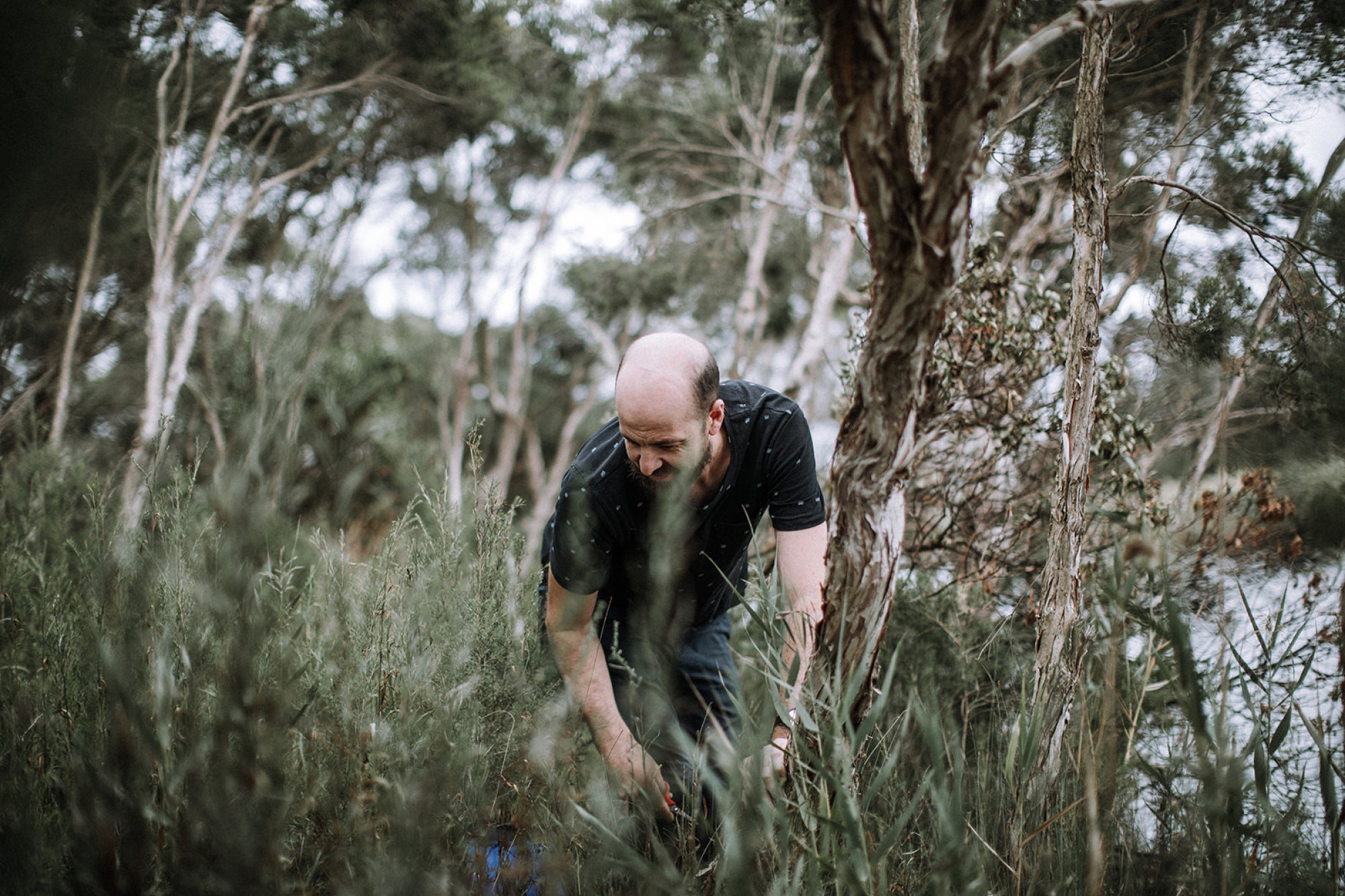 Julian Hills, Navi - Champagne Ayala