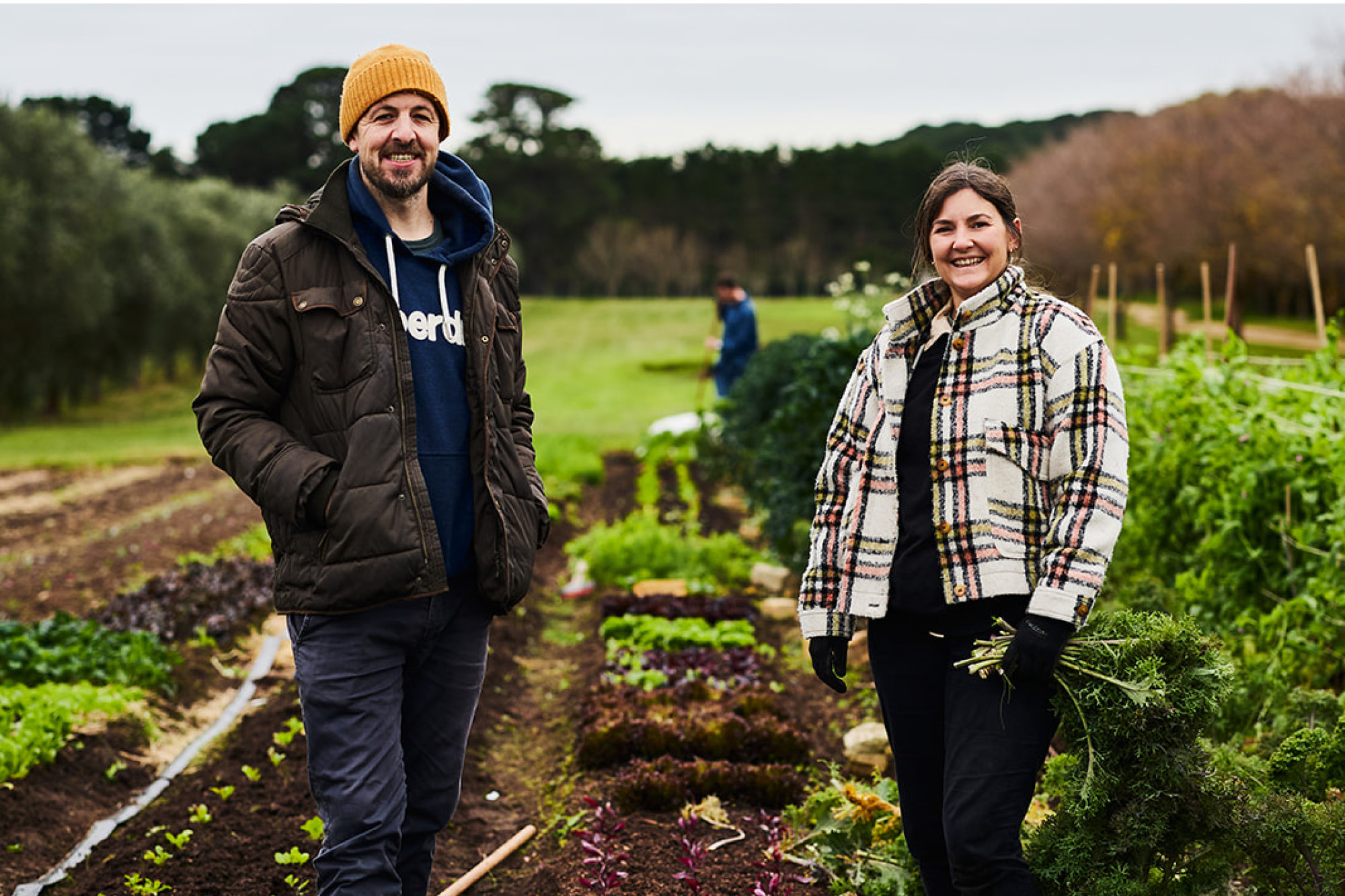 Julian Hills, Navi - Champagne Ayala