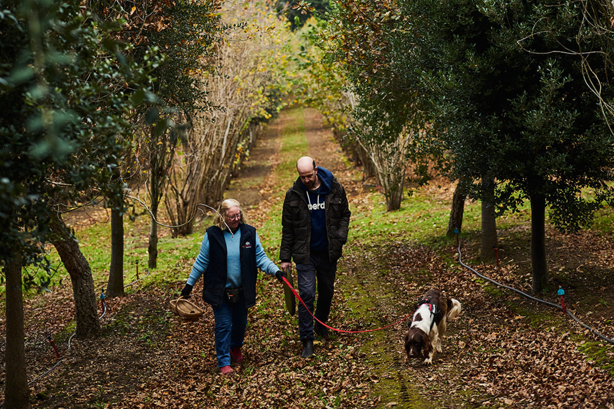 Julian Hills, Navi - Champagne Ayala
