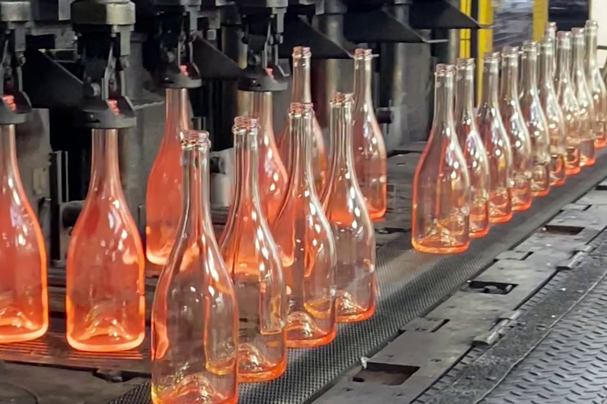 AYALA Le Blanc de Blancs, la bouteille de champagne la plus vertueuse