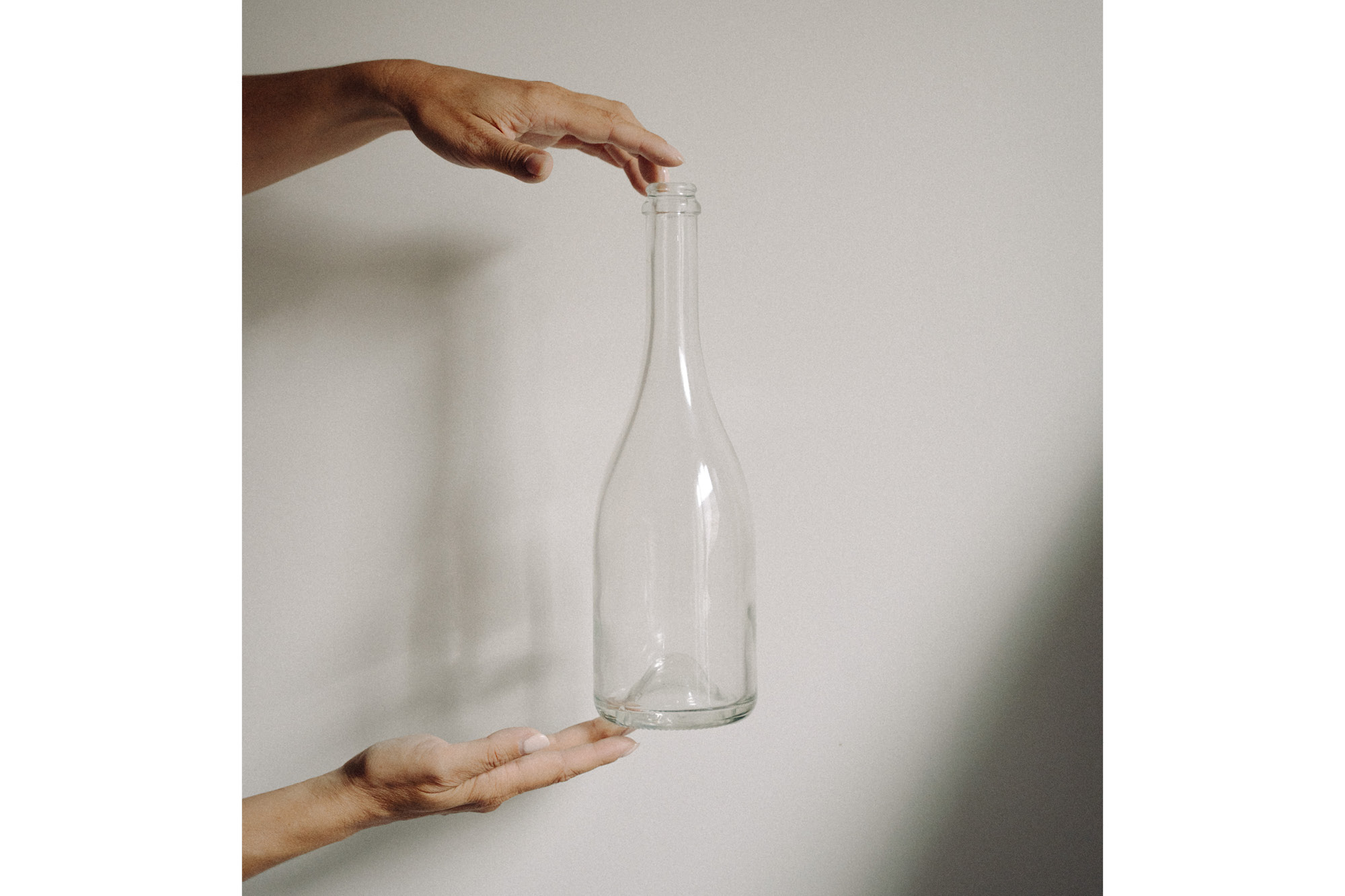 AYALA Le Blanc de Blancs, la bouteille de champagne la plus vertueuse