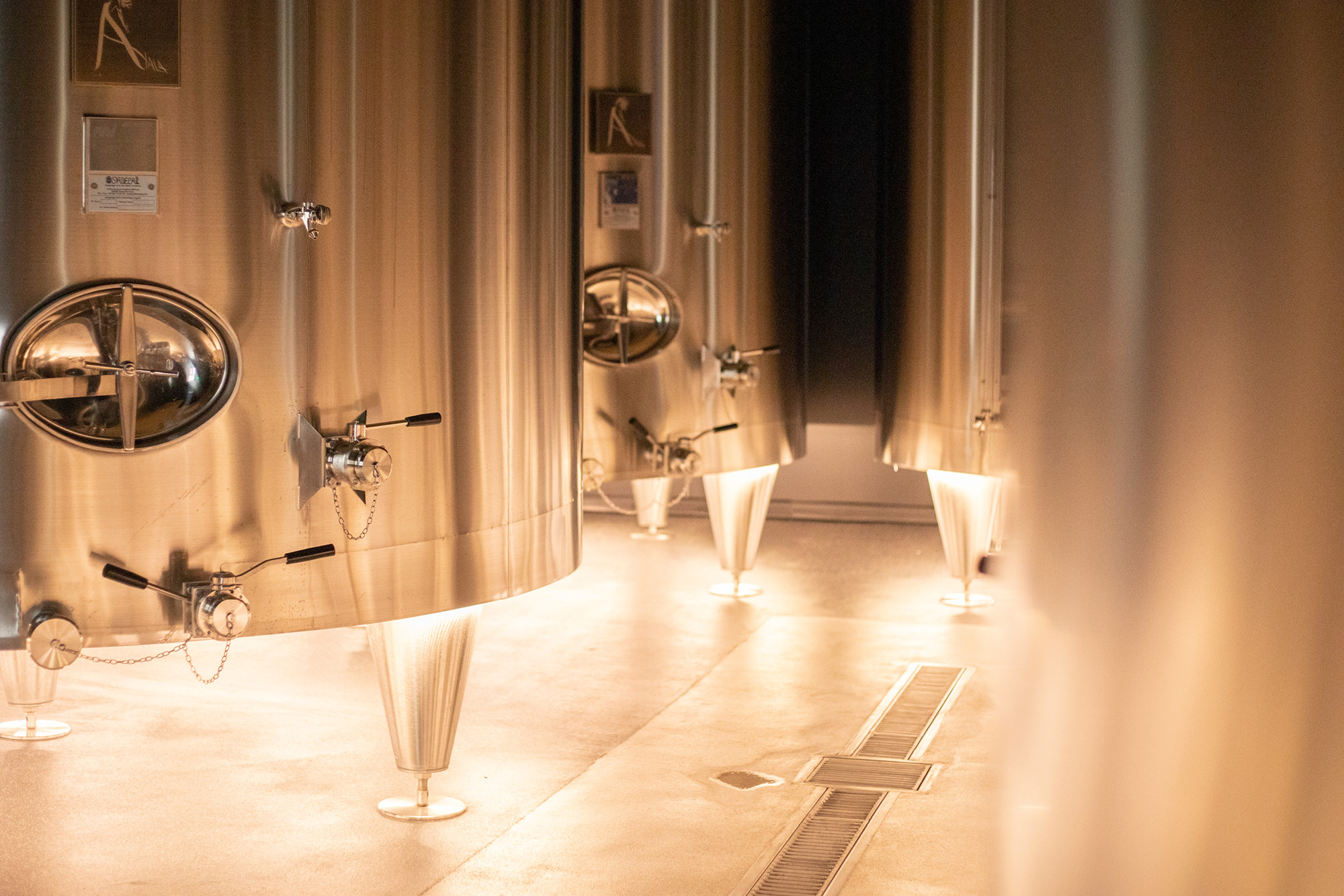 Le Blanc de Blancs A/19 - Champagne Ayala